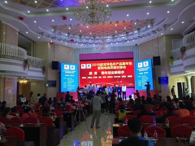 信宜举办特色农产品嘉年华,涌现一批农业创业青年