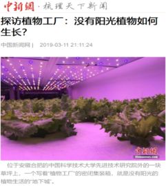 人民日报 等中央 省 市媒体集中报道 我院 植物工厂 技术与产品丨院内要闻 新闻动态 中国科学技术大学先进技术研究院