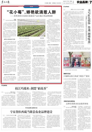 农民日报 聚焦贵州贵阳市花溪区探索农产品区域公用品牌破局