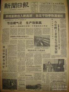 上海 综合日报 报纸