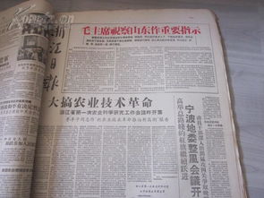 精品报纸合订本 1958年8月 浙江日报 珍贵文献时代特征强图文好大跃进